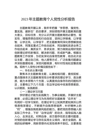 2023年主题教育个人党性分析报告