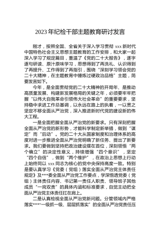 2023年纪检干部主题教育研讨发言