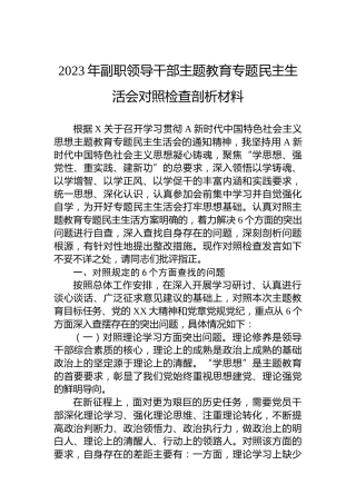 2023年副职领导干部主题教育专题民主生活会对照检查剖析材料