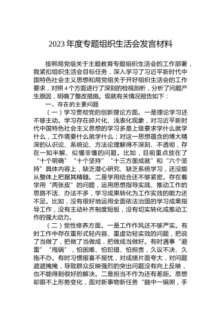 2023年度主题教育组织生活会发言材料