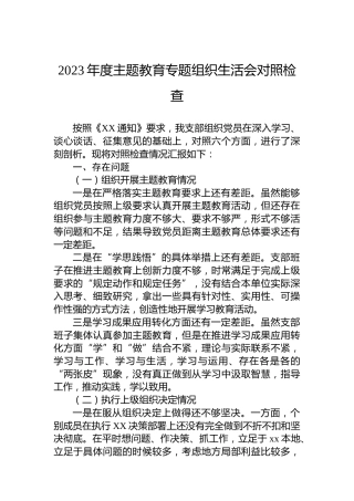 2023年度主题教育专题组织生活会对照检查