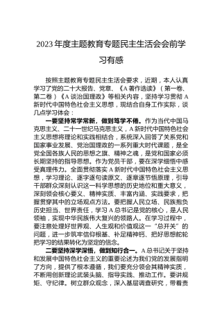 2023年度主题教育专题民主生活会会前学习有感（心得体会）