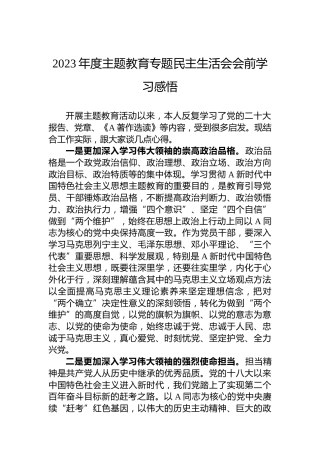 2023年度主题教育专题民主生活会会前学习感悟（心得体会）