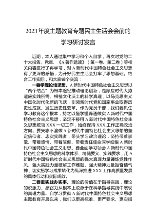 2023年度主题教育专题民主生活会会前的学习研讨发言