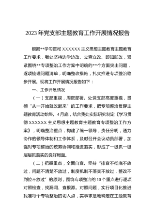 2023年党支部主题教育工作开展情况报告