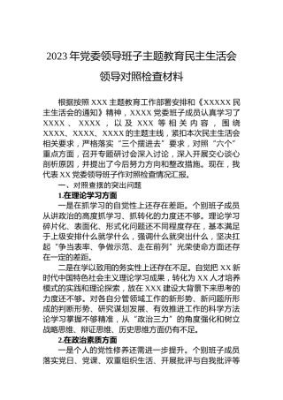 2023年党委领导班子主题教育民主生活会领导对照检查材料