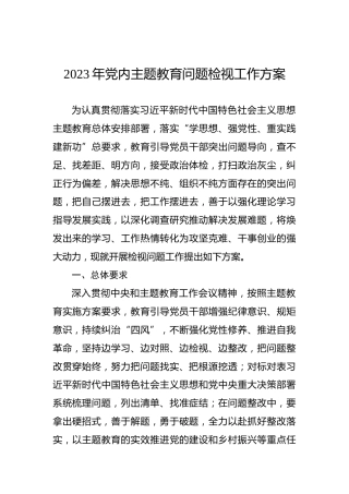 2023年党内主题教育问题检视工作方案
