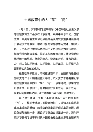 主题教育中的大“学”“问”
