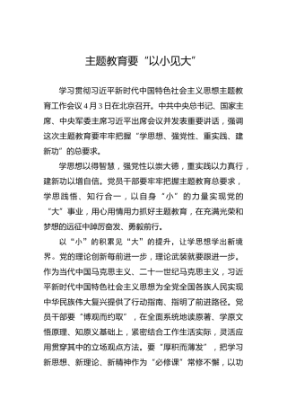 主题教育要“以小见大”