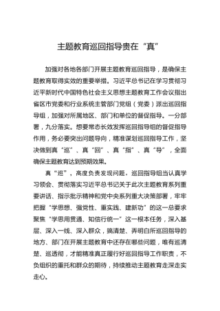 主题教育巡回指导贵在“真”