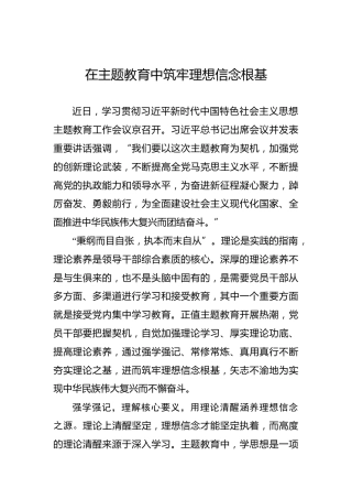 在主题教育中筑牢理想信念根基