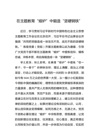 在主题教育“熔炉”中锻造“坚硬钢铁”