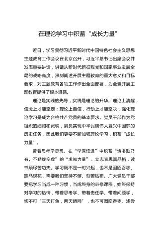 在理论学习中积蓄“成长力量”
