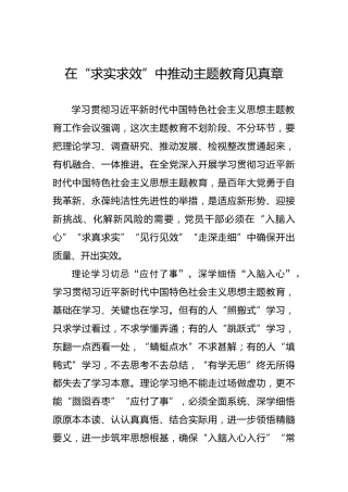 在“求实求效”中推动主题教育见真章