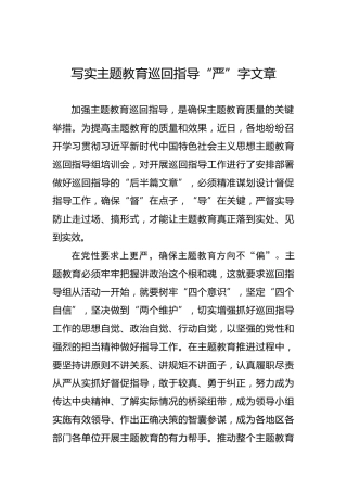 写实主题教育巡回指导“严”字文章