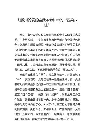 细数《论党的自我革命》中的“四梁八柱”