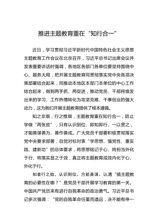 推进主题教育重在“知行合一”