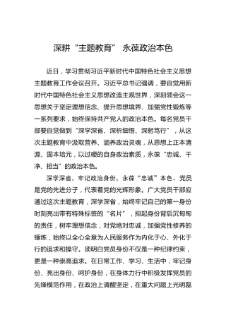 深耕“主题教育”永葆政治本色