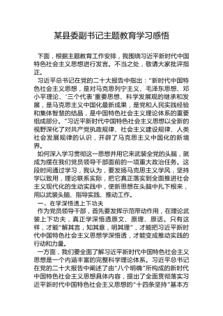 某县委副书记党内主题教育学习感悟