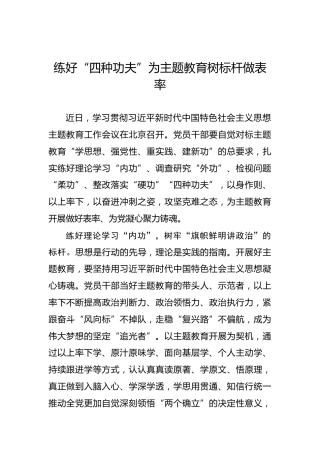 练好“四种功夫”为主题教育树标杆做表率