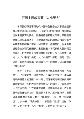 开展主题教育要“以小见大”