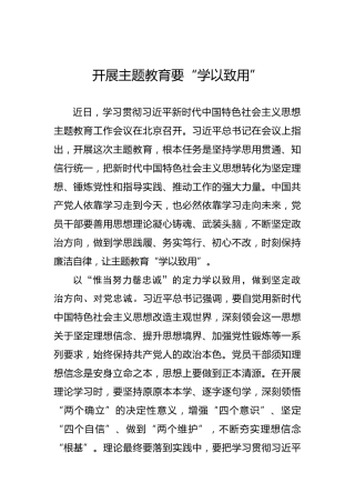 开展主题教育要“学以致用”