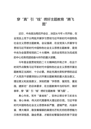 穿“真”引“线”绣好主题教育“腾飞图”