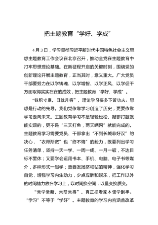 把主题教育“学好、学成”
