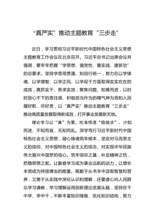 “真严实”推动主题教育“三步走”