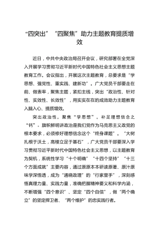“四突出”“四聚焦”助力主题教育提质增效