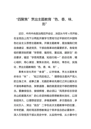 “四聚焦”烹出主题教育“色、香、味、形”