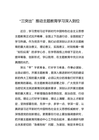 “三突出”推动主题教育学习深入到位