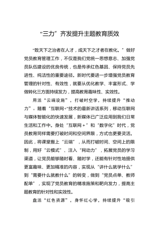“三力”齐发提升主题教育质效