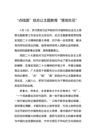 “点线面”结合让主题教育“落地生花”