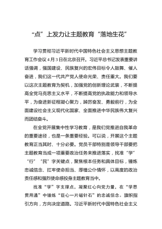 “点”上发力让主题教育“落地生花”