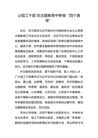 @组工干部在主题教育中争做“四个表率”