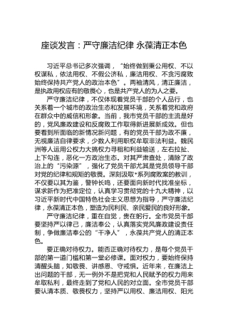 座谈发言：严守廉洁纪律 永葆清正本色