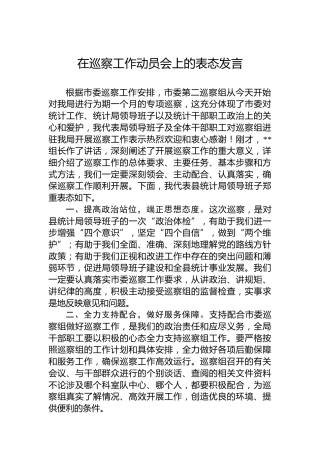 在巡察工作动员会上的表态发言-4