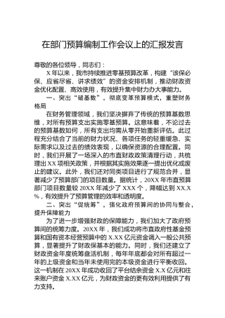 在部门预算编制工作会议上的汇报发言
