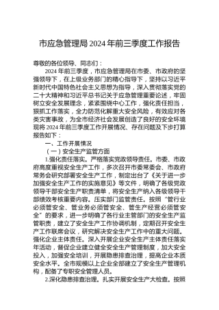 市应急管理局2024年前三季度工作报告