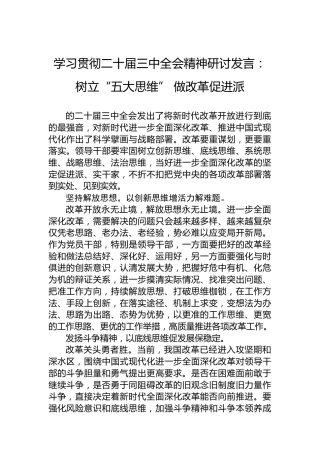 学习贯彻二十届三中全会精神研讨发言：树立“五大思维” 做改革促进派
