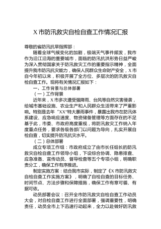 X市防汛救灾自检自查工作情况汇报