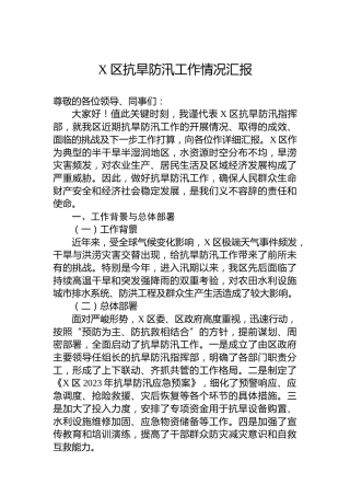 X区抗旱防汛工作情况汇报