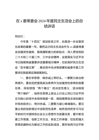 在x委常委会2024年度民主生活会上的总结讲话