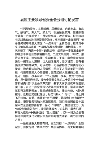 县区主要领导省委全会分组讨论发言