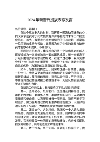 2024年新晋升提拔表态发言