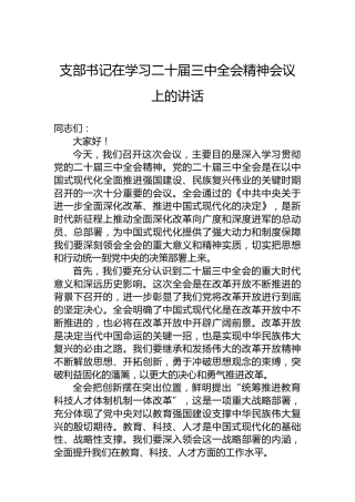 支部书记在学习二十届三中全会精神会议上的讲话
