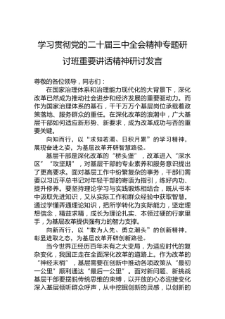 学习贯彻党的二十届三中全会精神专题研讨班重要讲话精神研讨发言