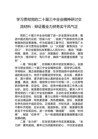学习贯彻党的二十届三中全会精神研讨交流材料：辩证看全力拼务实干风气正