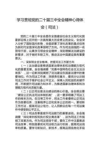 学习贯彻党的二十届三中全会精神心得体会（司法）